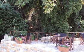 Vergopoulos Oliveyard